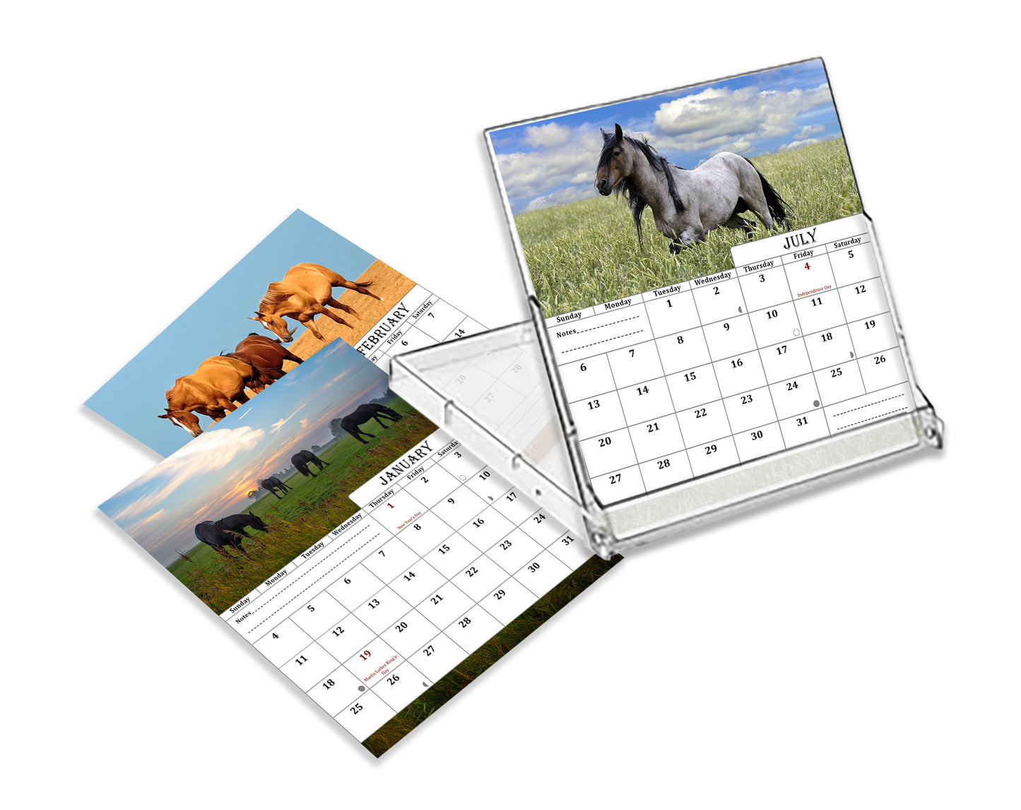 2026-2027 CD-Style Desk Calendar 18 Months Calendar (Horses)