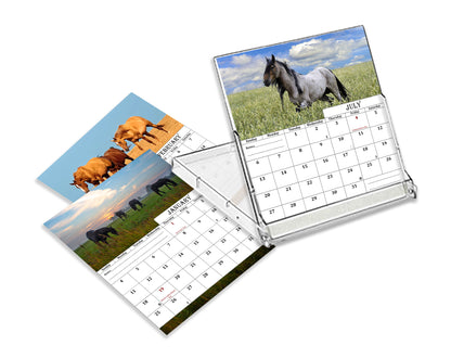 2026-2027 CD-Style Desk Calendar 18 Months Calendar (Horses)