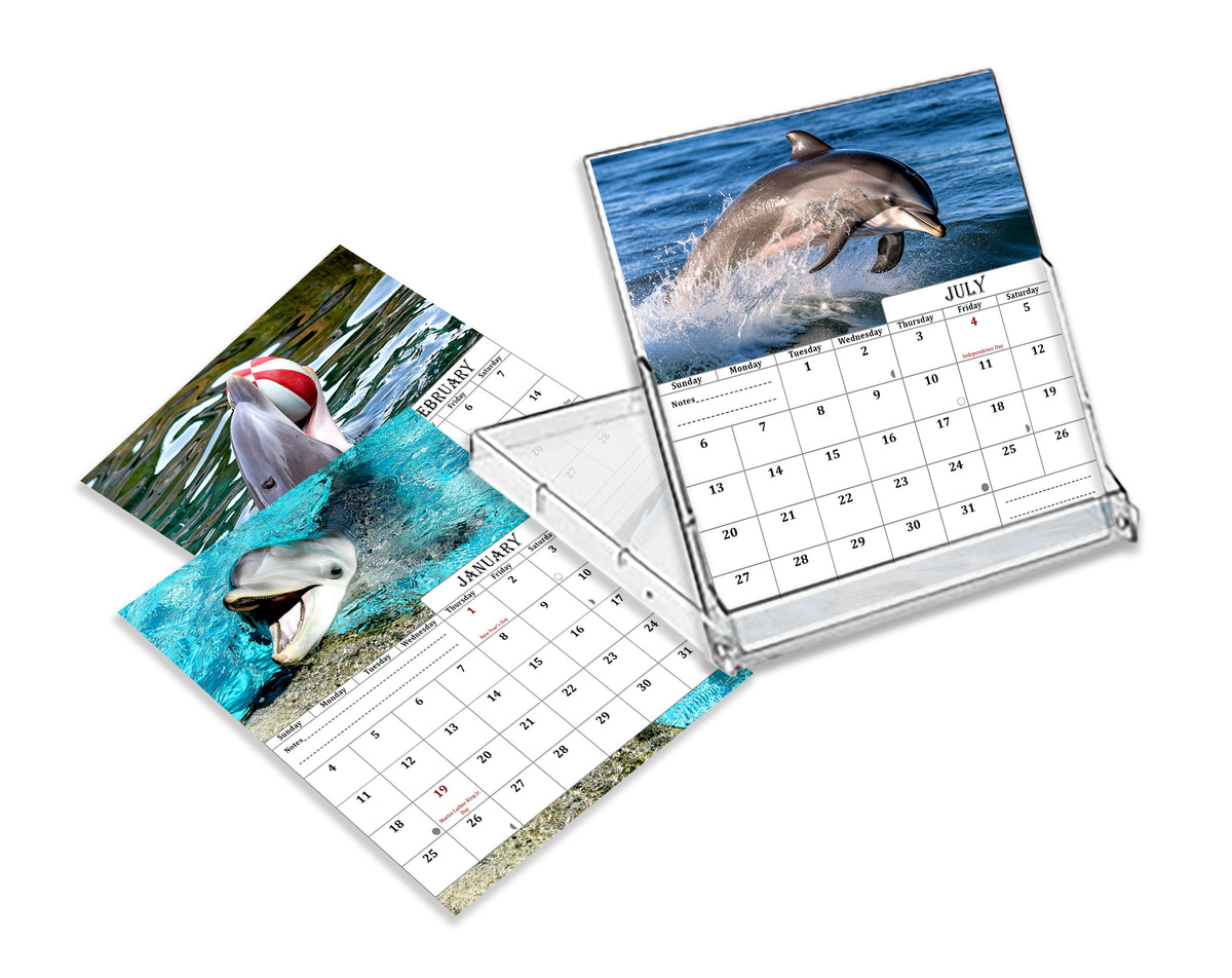 2026-2027 CD-Style Desk Calendar 18 Months Calendar (Dolphins)