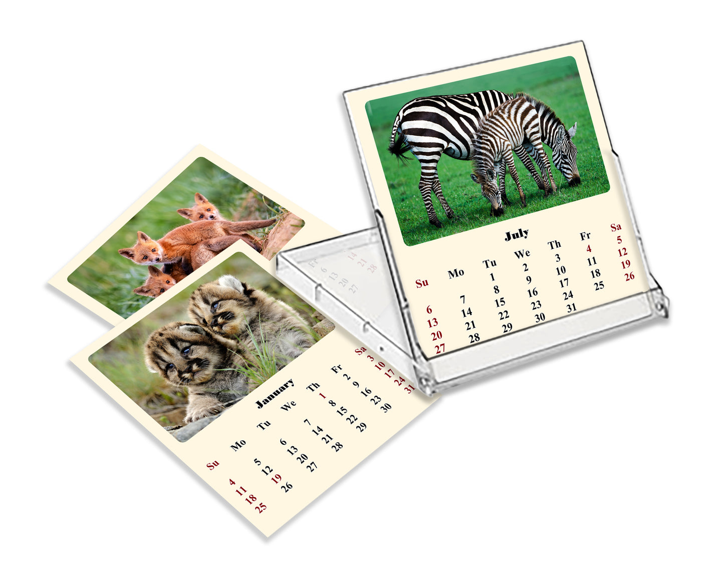 2025-2026 CD-Style Desk Calendar 18 Months Calendar (Baby Animals)