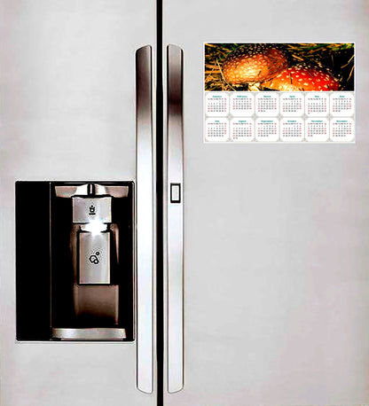 2026 Magnetic Calendar - Calendar Magnets - Today is my Lucky Day - Edition #38