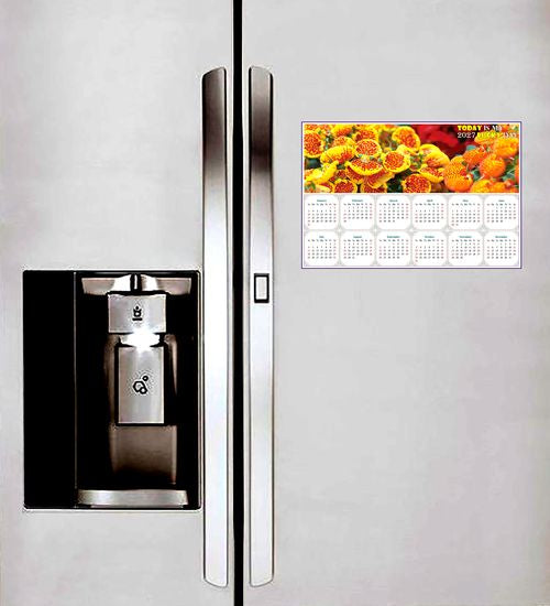 2027 Peel & Stick Calendar - Today is my Lucky Day - Removable, Repositionable - 013 (9"x 6")