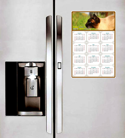 2027 Peel & Stick Calendar - Today is my Lucky Day Removable - Cat 03 (12"x 8")