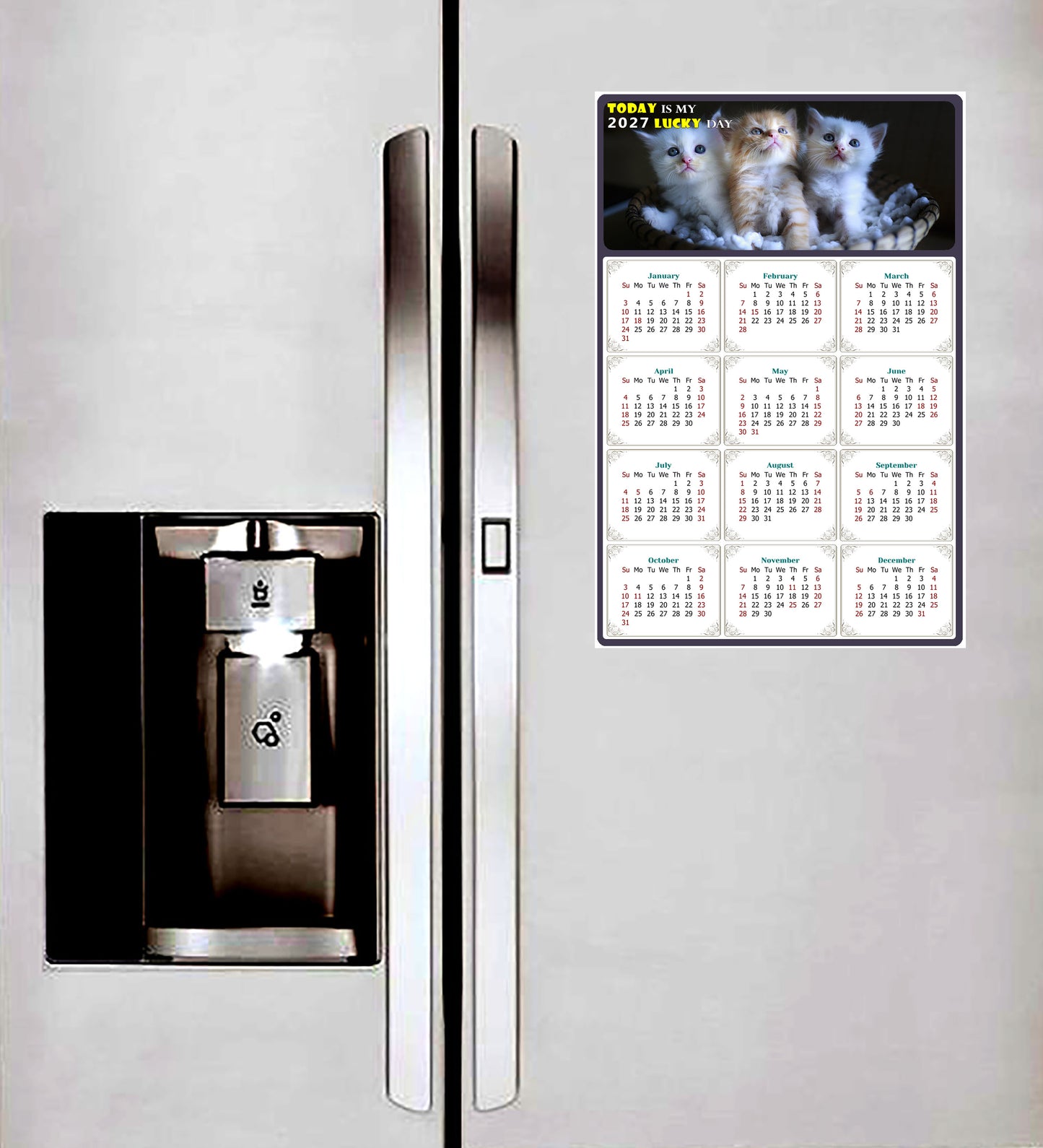 2027 Magnetic Calendar - Today is My Lucky Day (Fade, Tear, and Water Resistant)- Cat Themed 011