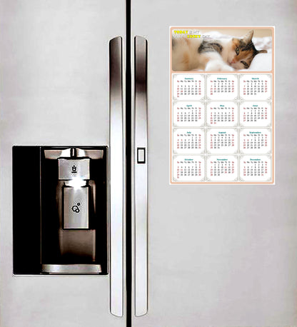 2027 Peel & Stick Calendar - Today is my Lucky Day Removable - Cat 04 (9"x 6")