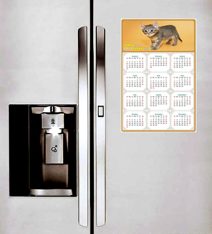 2027 Peel & Stick Calendar - Today is my Lucky Day Removable - Cat 018 (12"x 8")