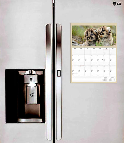 2027 Calendar Magnetic Peel & Stick 12 Months 8.5" x 11" Baby Animals