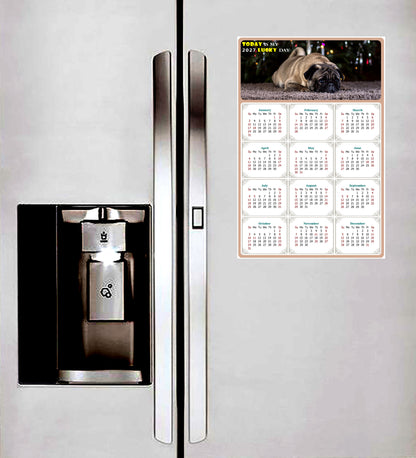 2027 Magnetic Calendar - Today is My Lucky Day (Fade, Tear, and Water Resistant)- Dogs Themed 02
