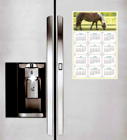 2027 Peel & Stick Calendar - Today is my Lucky Day Removable - Horses 016 (9"x 6")