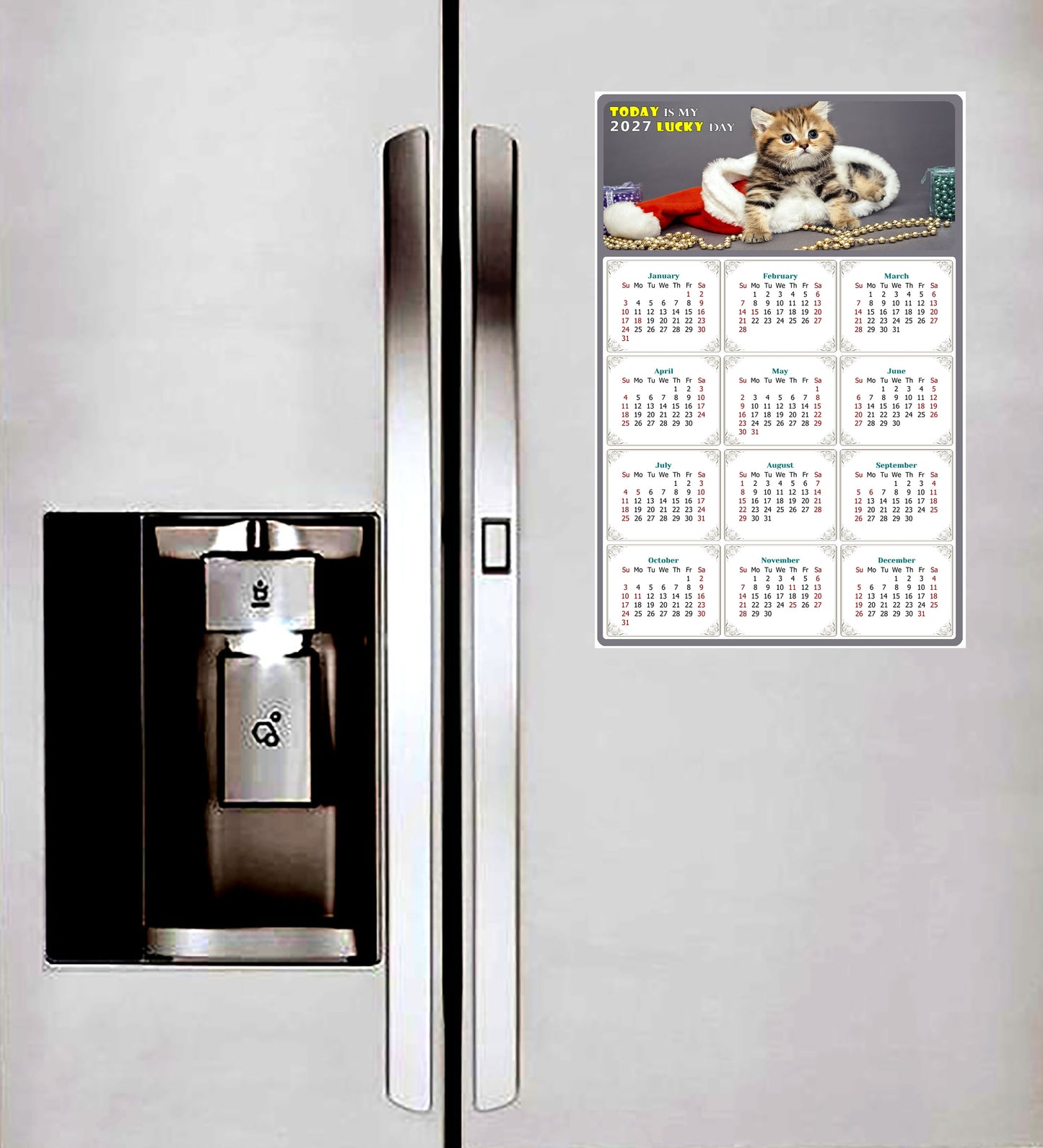 2027 Magnetic Calendar - Today is My Lucky Day (Fade, Tear, and Water Resistant)- Cat Themed 023