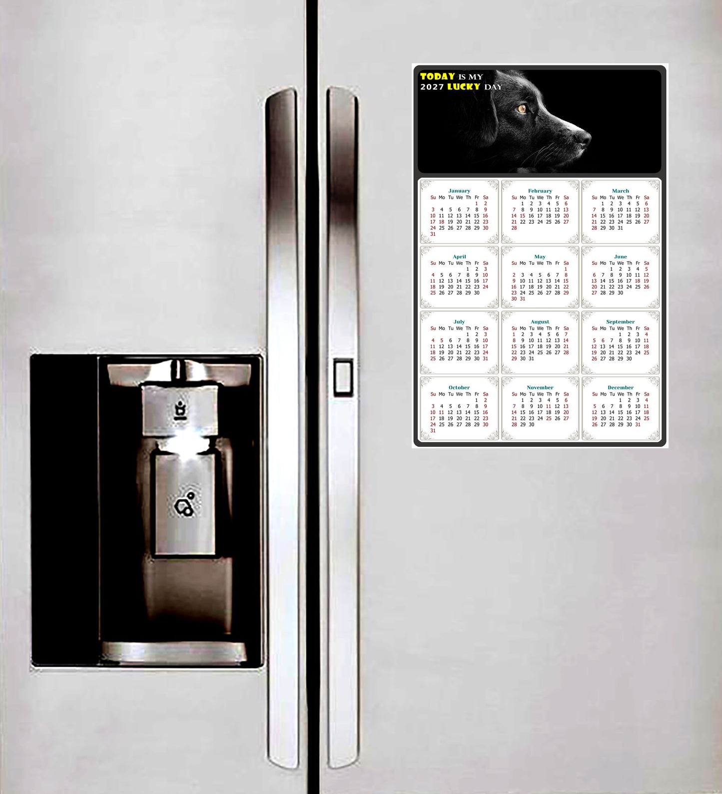 2027 Magnetic Calendar - Today is My Lucky Day (Fade, Tear, and Water Resistant)- Dogs Themed 05