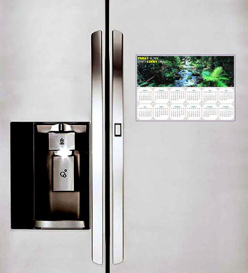 2027 Peel & Stick Calendar - Today is my Lucky Day - Removable - Daintree National Park (9"x 6")