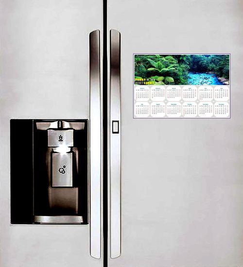 2027 Peel & Stick Calendar - Today is my Lucky Day - Removable - Waipoua Kauri Reserve (9"x 6")
