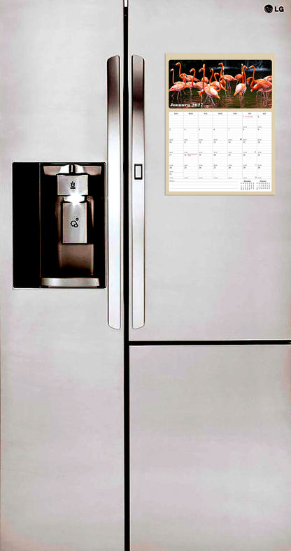 2026 - 2027 Calendar Magnetic Peel & Stick 18 Months Planner 8.5" x 11"