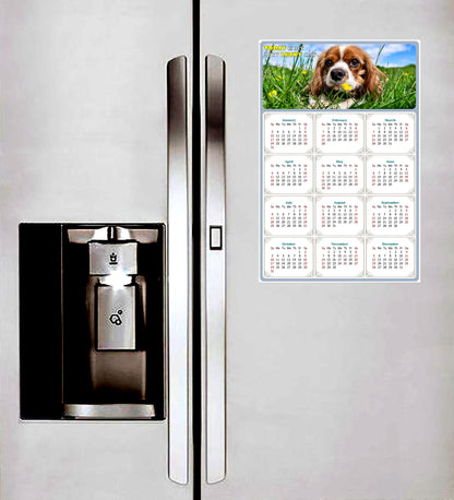 2027 Magnetic Calendar - Today is My Lucky Day (Fade, Tear, and Water Resistant)- Dogs Themed 06