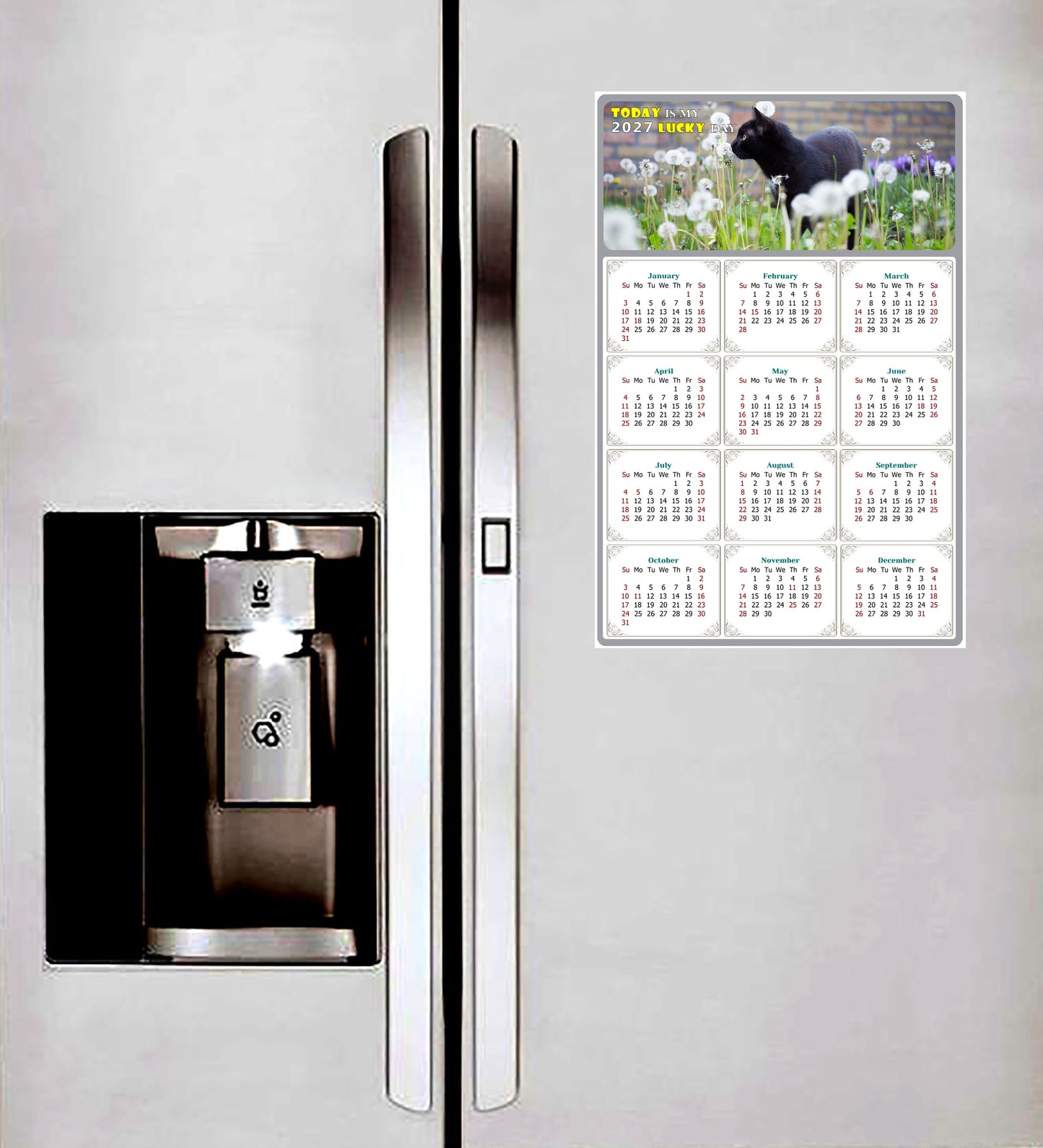 2027 Magnetic Calendar - Today is My Lucky Day (Fade, Tear, and Water Resistant)- Cat Themed 05