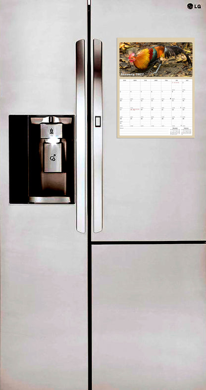 2027 Calendar Magnetic Peel & Stick 12 Months 8.5" x 11" Roosters