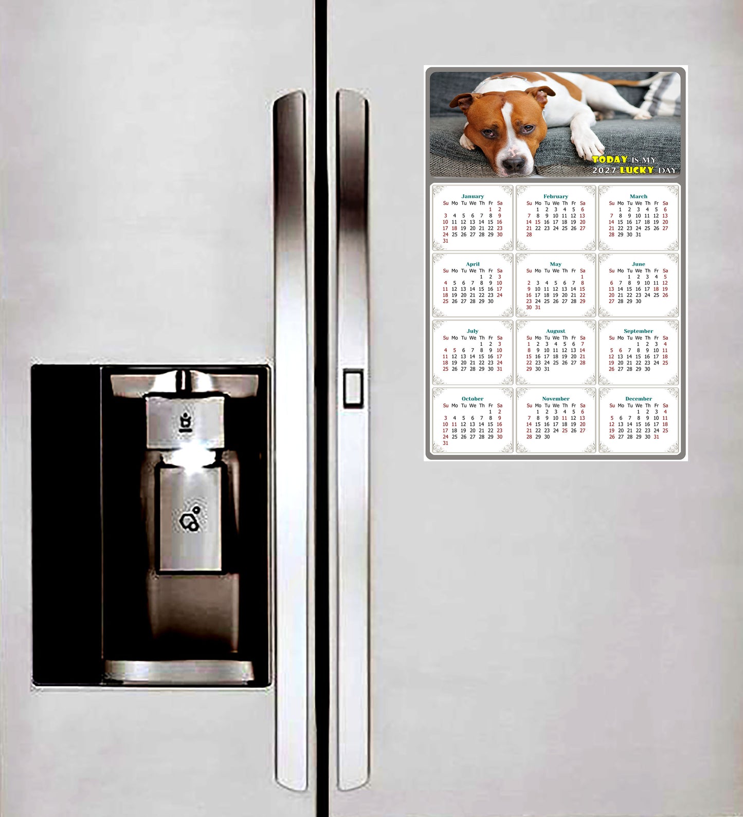2027 Magnetic Calendar - Today is My Lucky Day (Fade, Tear, and Water Resistant)- Dogs Themed 017
