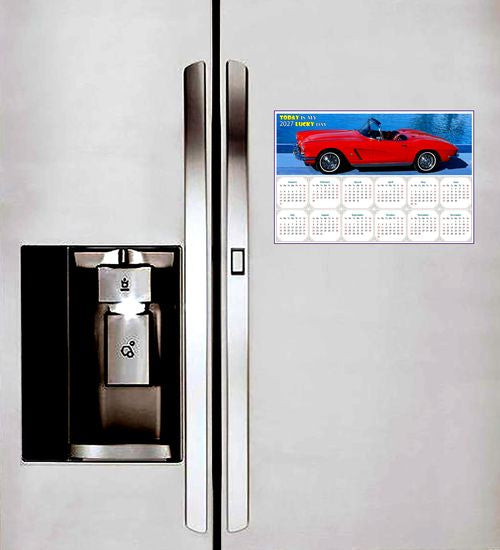 2027 Peel & Stick Calendar - Today is my Lucky Day - Removable, Repositionable - 048 (9"x 6")