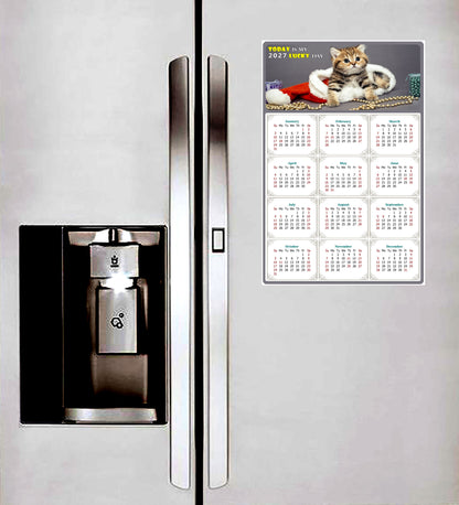 2027 Peel & Stick Calendar - Today is my Lucky Day Removable - Cat 023 (12"x 8")