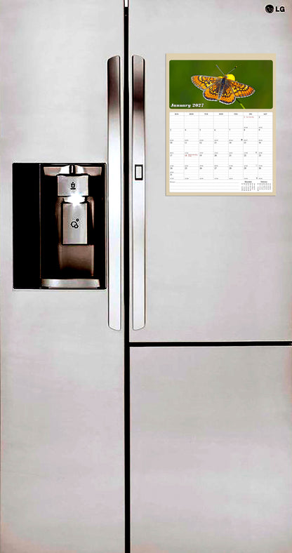 2027 Calendar Magnetic Peel & Stick 12 Months 8.5" x 11" Butterflyes