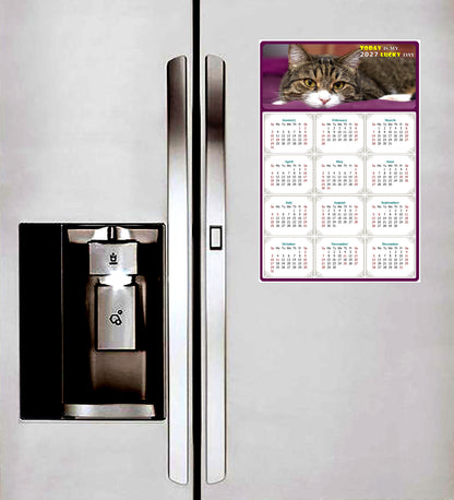 2027 Peel & Stick Calendar - Today is my Lucky Day Removable - Cat 022 (9"x 6")
