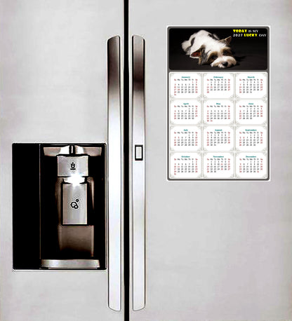 2027 Magnetic Calendar - Today is My Lucky Day (Fade, Tear, and Water Resistant)- Dogs Themed 018