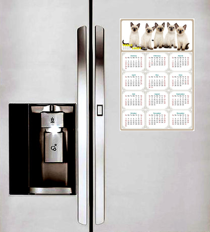 2027 Peel & Stick Calendar - Today is my Lucky Day Removable - Cat 020 (9"x 6")