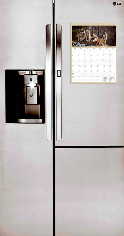 2026 - 2027 Calendar Magnetic Peel & Stick 18 Months 8.5" x 11" Woolfs