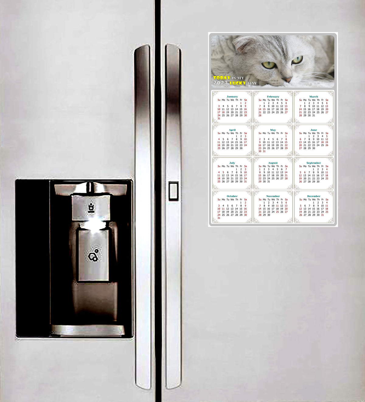 2027 Magnetic Calendar - Today is My Lucky Day (Fade, Tear, and Water Resistant)- Cat Themed 01