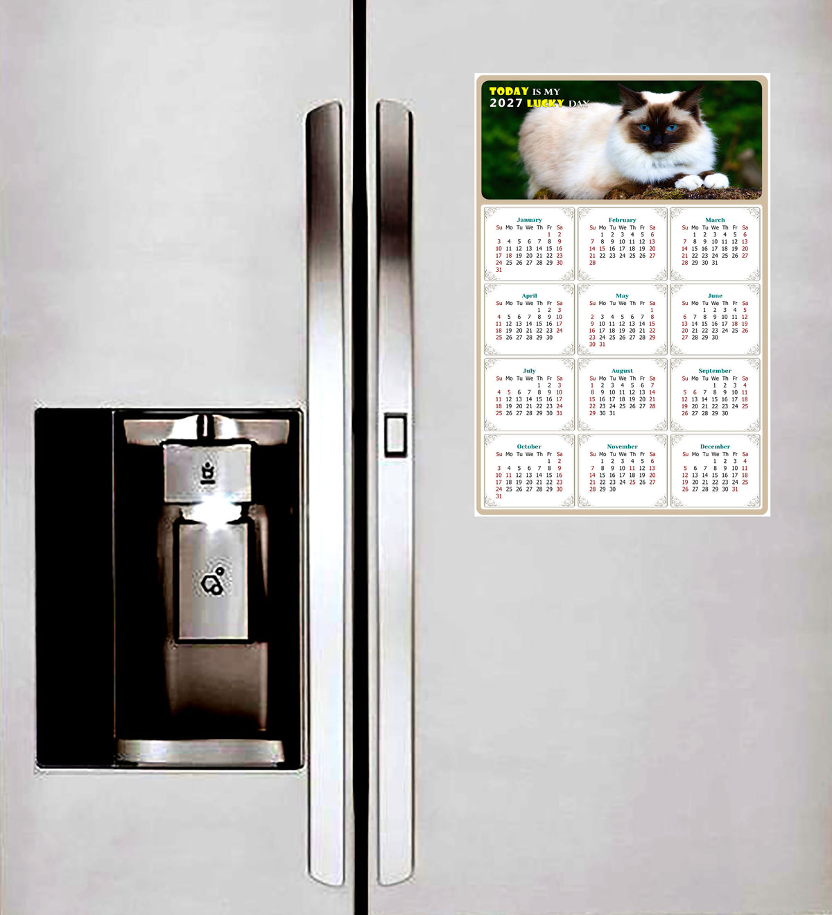 2027 Peel & Stick Calendar - Today is my Lucky Day Removable - Cat 02 (12"x 8")