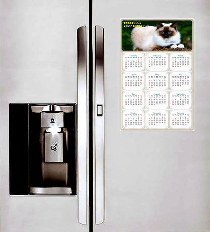 2027 Peel & Stick Calendar - Today is my Lucky Day Removable - Cat 02 (12"x 8")