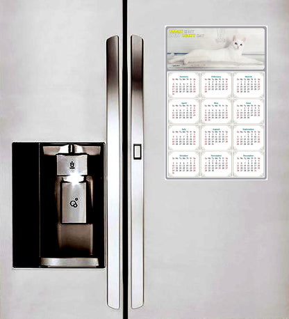 2027 Peel & Stick Calendar - Today is my Lucky Day Removable - Cat 06 (9"x 6")
