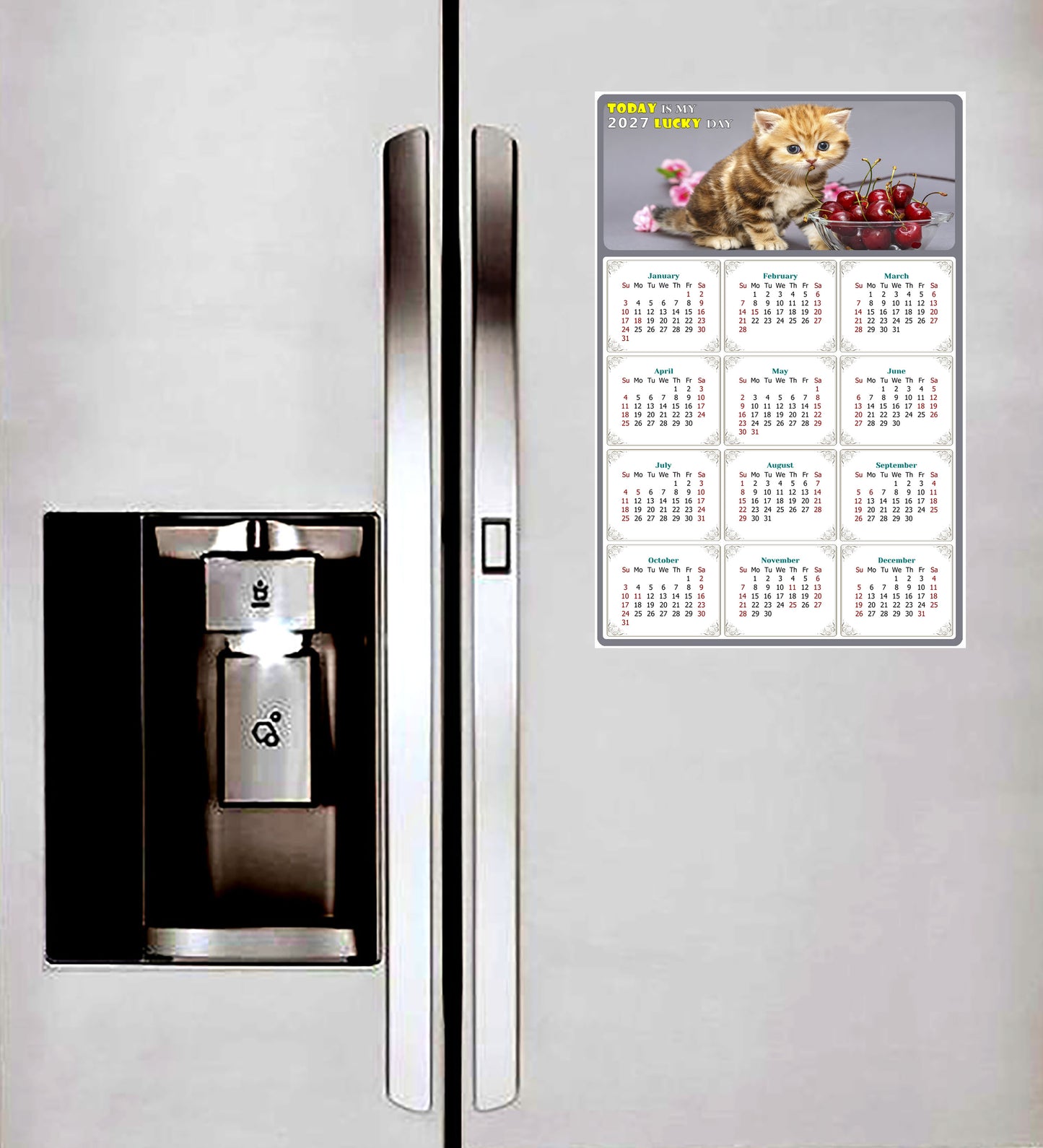 2027 Magnetic Calendar - Today is My Lucky Day (Fade, Tear, and Water Resistant)- Cat Themed 016