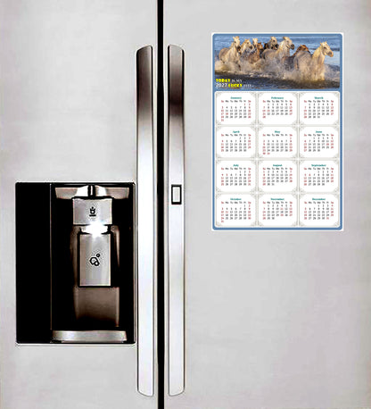 2027 Peel & Stick Calendar - Today is my Lucky Day Removable - Horses 08 (9"x 6")