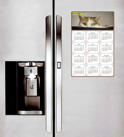2027 Peel & Stick Calendar - Today is my Lucky Day Removable - Cat 012 (12"x 8")