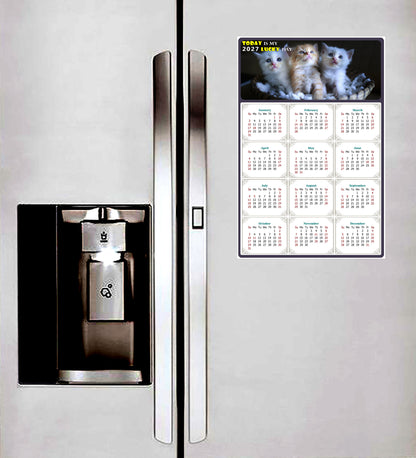 2027 Peel & Stick Calendar - Today is my Lucky Day Removable - Cat 011 (12"x 8")