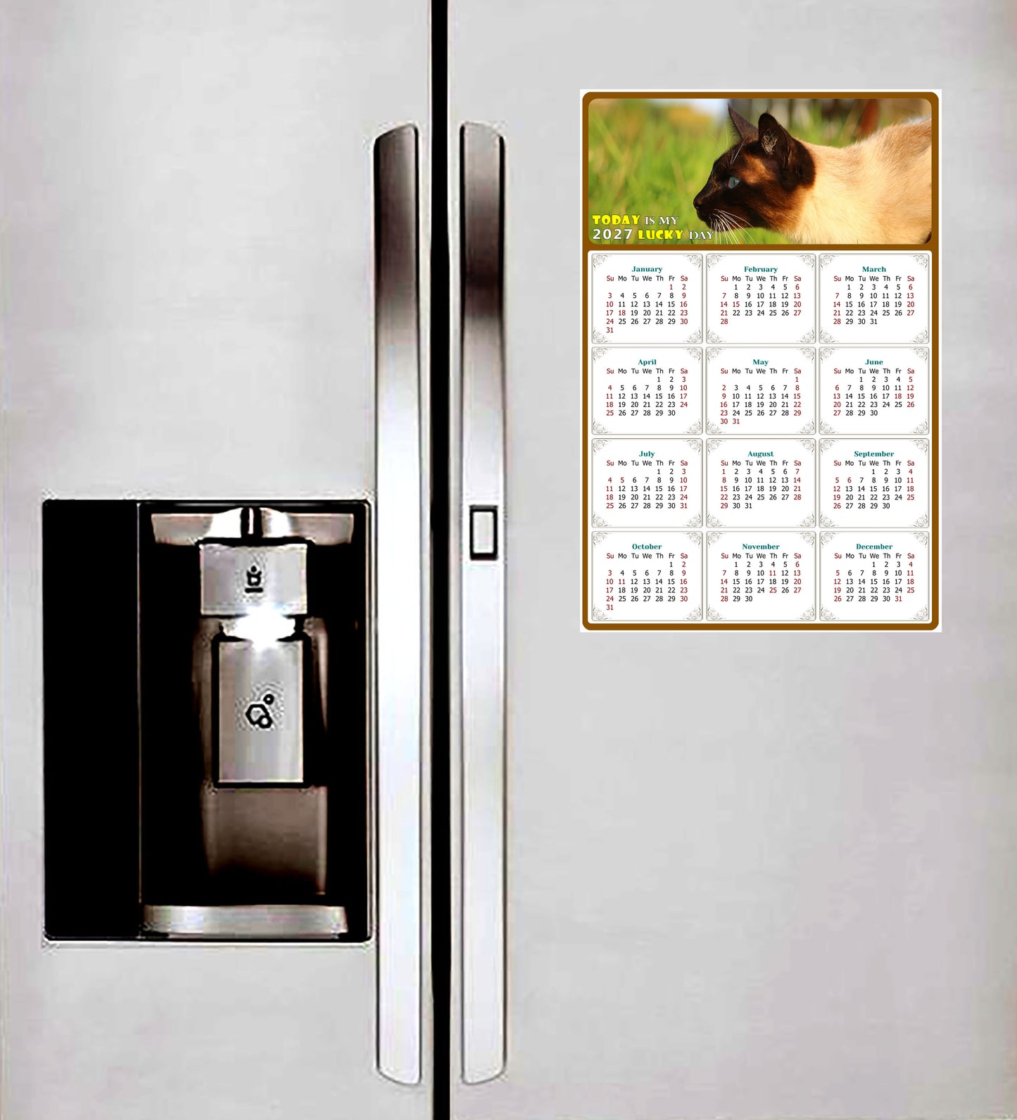 2027 Magnetic Calendar - Today is My Lucky Day (Fade, Tear, and Water Resistant)- Cat Themed 03