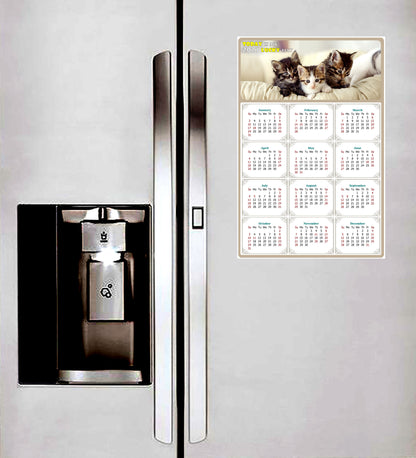 2027 Peel & Stick Calendar - Today is my Lucky Day Removable - Cat 021 (12"x 8")