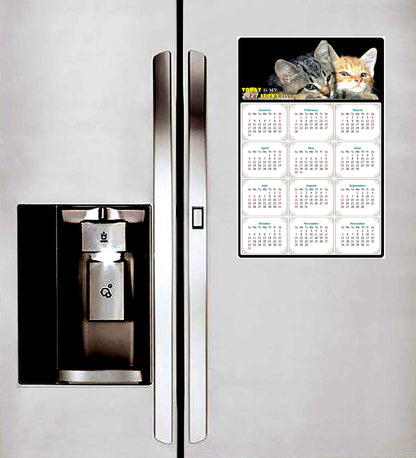 2027 Peel & Stick Calendar - Today is my Lucky Day Removable - Cat 010 (9"x 6")