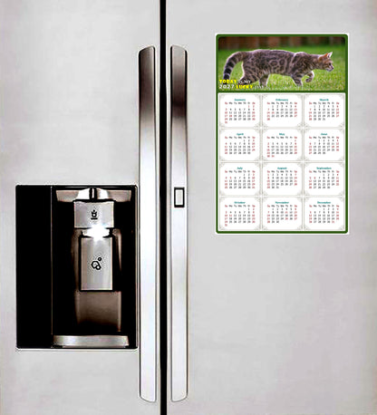 2027 Peel & Stick Calendar - Today is my Lucky Day Removable - Cat 09 (9"x 6")