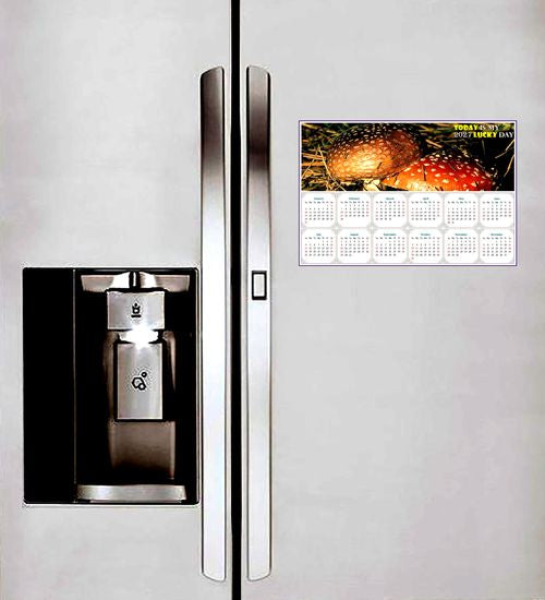 2027 Peel & Stick Calendar - Today is my Lucky Day - Removable, Repositionable - 038 (9"x 6")