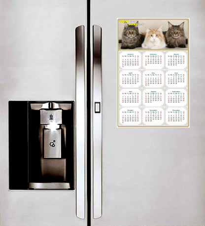 2027 Peel & Stick Calendar - Today is my Lucky Day Removable - Cat 015 (9"x 6")