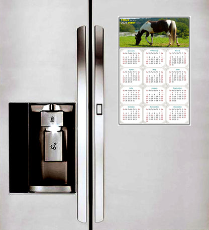 2025 Magnetic Calendar - Calendar Magnets - Today is my Lucky Day - (Fade, Tear, and Water Resistant) - Horses Themed 020