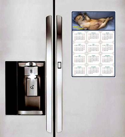 2027 Magnetic Calendar - Today is My Lucky Day (Fade, Tear, and Water Resistant)- Dogs Themed 013