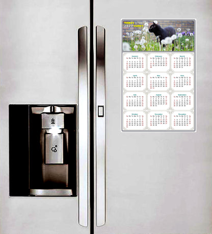 2027 Peel & Stick Calendar - Today is my Lucky Day Removable - Cat 05 (12"x 8")