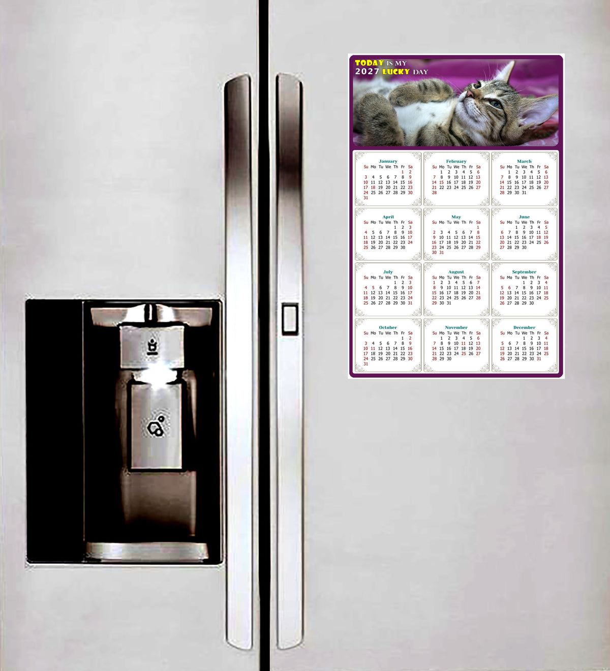 2027 Peel & Stick Calendar - Today is my Lucky Day Removable - Cat 08 (12"x 8")