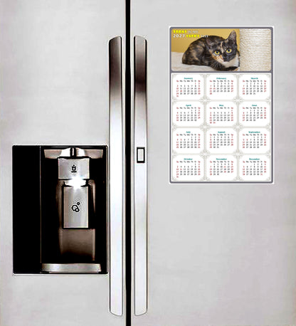 2027 Peel & Stick Calendar - Today is my Lucky Day Removable - Cat 024 (9"x 6")