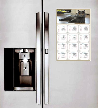 2027 Peel & Stick Calendar - Today is my Lucky Day Removable - Cat 014 (9"x 6")