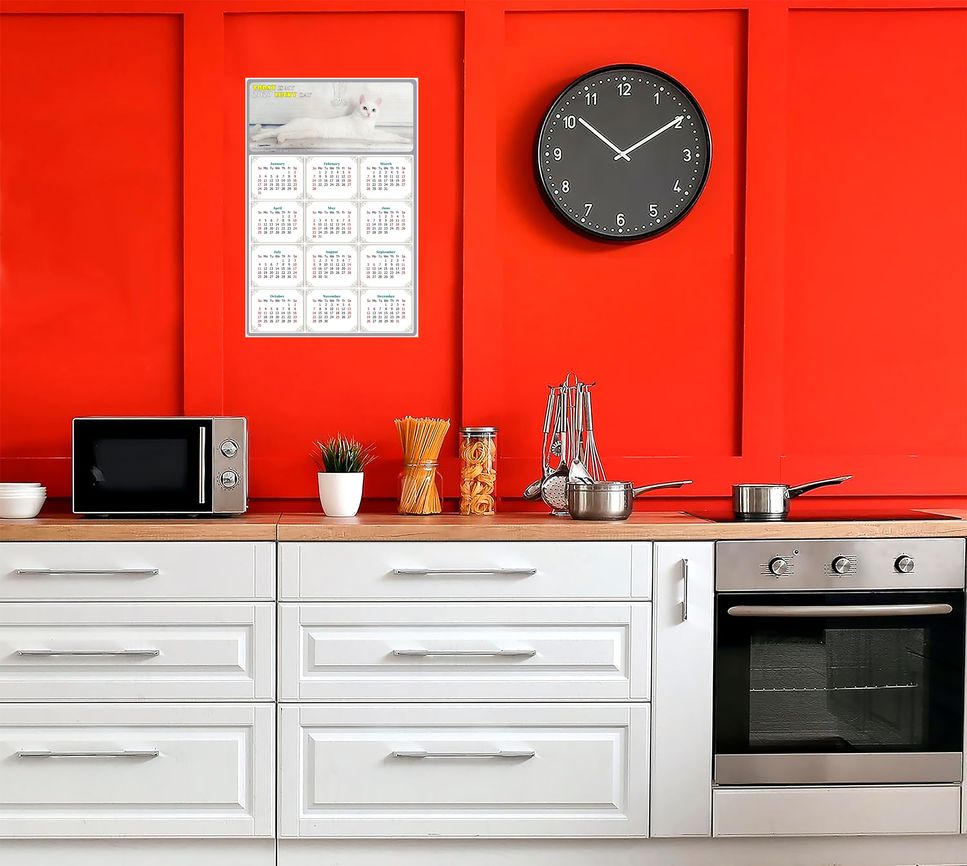 2027 Peel & Stick Calendar - Today is my Lucky Day Removable - Cat 06 (9"x 6")